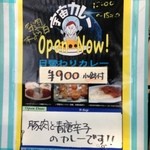 天の勢　地球カレー - 2013年8月8日　宇宙カレー出張所