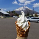 マッカリズム - 