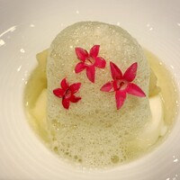 スガラボヴィー - 