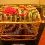 汲み上げ湯葉とウニとトマトの煮凝り