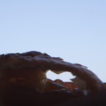 アシッドラシーヌ - ショソンポム