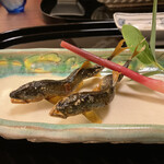 京懐石 みのきち - 