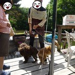 たるきぃとな - たるきぃとなママ様と愛犬♪