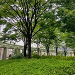 ブリコラージュ ブレッド アンド カンパニー - 