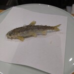 天ぷら割烹 たかの - 