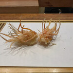 Tempura Miyashiro - 