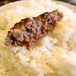 みすたーらいおん - 