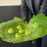 6 - よもぎのエアパン