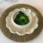 6 - 雲南百薬とヤコウガイ