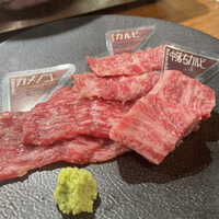 NO MEAT, NO LIFE.2nd - 