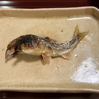 松川 - 三重県宮川 鮎塩焼き