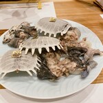 蕎麦割烹  倉田 - 解体したスッポンの各部位