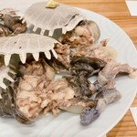 蕎麦割烹  倉田 - 解体したスッポンの各部位