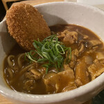 Kare Udon Hikari - 