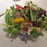 レフェルヴェソンス - 野菜のサラダ。彩りから楽しめます。