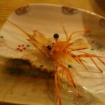 Shinya Sushi - 