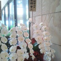 横浜 星のなる木 - 