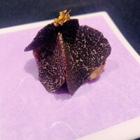 ガストロノミー ジョエル・ロブション - 