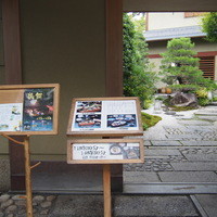 平等院表参道 竹林 - 
