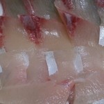 味覚 - トロかんぱち