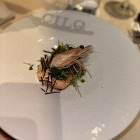 CILQ - 