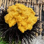 漁亭 美乃島 - 料理写真: