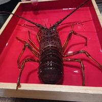 鉄板焼 しろや 銀座亭 - 