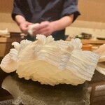 鮨 竜介 - 2023.4.  赤烏賊