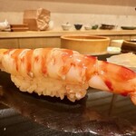 鮨 竜介 - 2023.4.  車海老