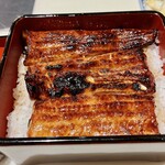 うなぎ 魚政 - 岡山県児島湾の天然うなぎ