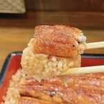 うなぎの豊川 - うな重、リフト！