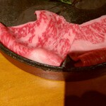 Premium Wagyu Beef SHIBATA - 