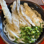 金比羅うどん - ごぼ天うどん