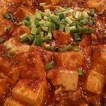 天府舫 - 麻婆豆腐アップ