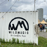 WILD MAGIC - 入口看板