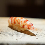 鮨 西崎 - 車海老