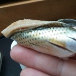 寿司割烹 魚紋 - 小鰭。リフト(^-^)/