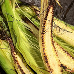 寺地町酒場 - ヒゲがしっかり入っていて　これも美味！！