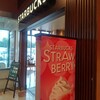 スターバックス・コーヒー EXPASA足柄サービスエリア（下り線）店