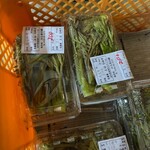 森のそば屋 - タラの芽が販売されていた