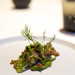 レストラン オオツ - 2023.5 那珂湊産メヒカリ炭火焼き コシアブラ 蕗の薹