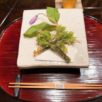 比良山荘 - コシアブラの天麩羅