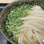 本格派博多うどん はし田たい吉 - かけうどん 冷 550円