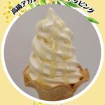 coccoya - 