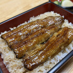 Unagi Hamamatsuya - 