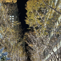 GARB Tokyo - 