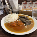 KARA-KUSA curry - 