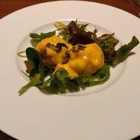 カントニーズ 燕 - 