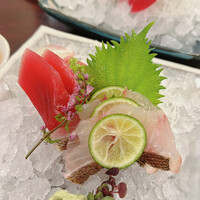 ざくろ 銀座店 -  ざくろ 銀座店 -