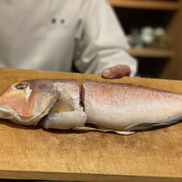 実伶 - グジ、どっちを食べますか？